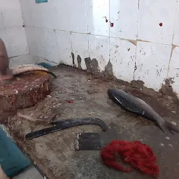 Fish Stall, Telengana Fisheries Shop