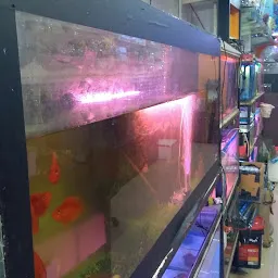Fish world aquarium