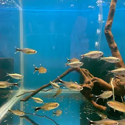 Fish World Aquarium