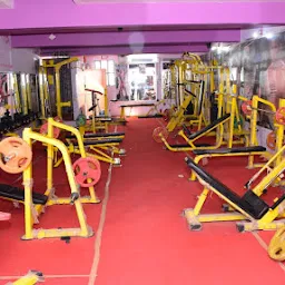 Fitness Point The Gym