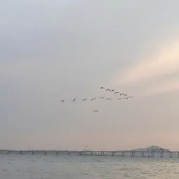 Flamingo Ferries