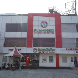 Flamingo Healthcare Centre | Best Multi-specialty Hospital (24x7) in Ambattur