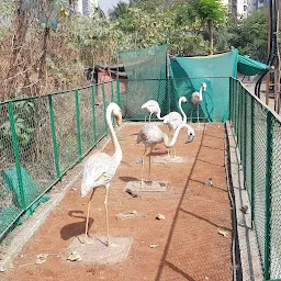 Flamingo Square