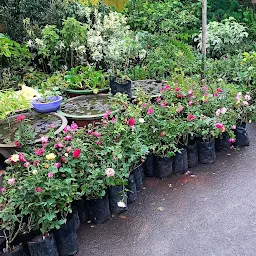 Flower Nursery