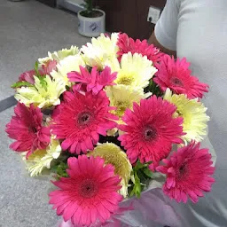 FlowerAura - Flowers and Cake Delivery Same Day