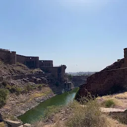 Flying Fox Jodhpur