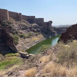 Flying Fox Jodhpur