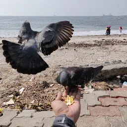 Fort Kochi Beach