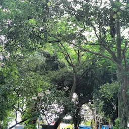 NEHRU PARK Fort Kochi