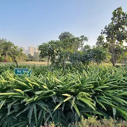 Fresco Medicine Park - Musical Fountain Park