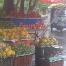 Fresh Basket Fruits Shop