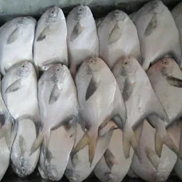 Fresh Fish Mumbai