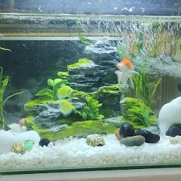 Friends aquarium