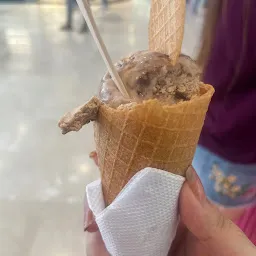 Frozen Fun Gelato