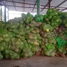 lalyal Fruits