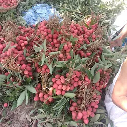 lalyal Fruits