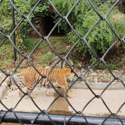 G B Pant High Altitude Zoo