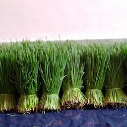 Gajanand Wheat Grass Juice Center