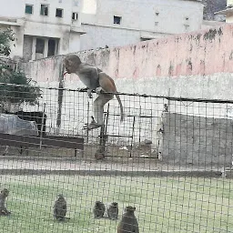 Galta Ji Park.