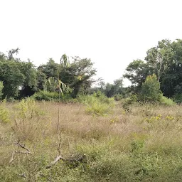 Ganagaluru Forest Park