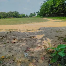 Gandhi Field