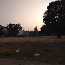 Gandhi Maidan