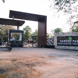 Gandhi Park Skating Rink
