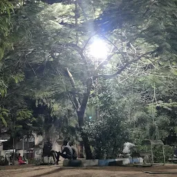 Gandhinagar Park