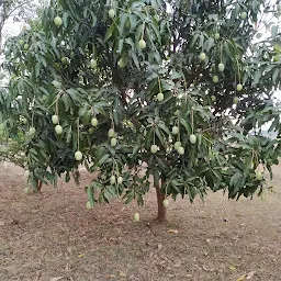 Ganga Ashram