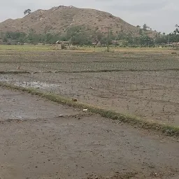 Gangalday Mata Mandir(Hill)Pahar