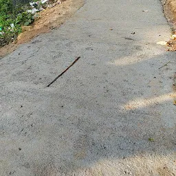 Gaon burha Path , Hill Side