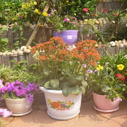Garden care bhubaneswar