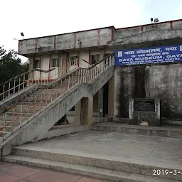 Gaya Museum