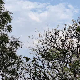 गढ़-कलिका माता मंदिर