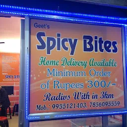 Geet's Spicy Bites