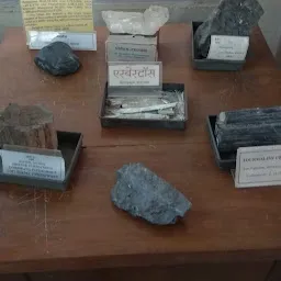 Geological Survey Of India Museum