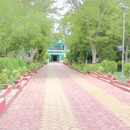 Ghadiyal abhyaran dholpur