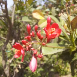 Ghatlodia Garden & Lake