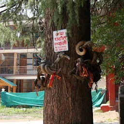 Ghatotkach Tree Temple