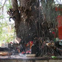 Ghatotkach Tree Temple