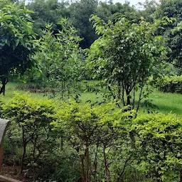 GHMC Garden