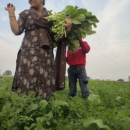 Ghuda farm