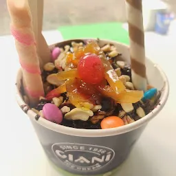 Giani ice cream pvt ltd