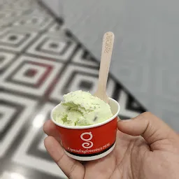 Gianis Ice Cream Sector 13 Hisar