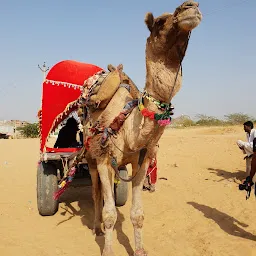 Gir Desert Camel Safari