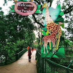 Giraffe Enclosure