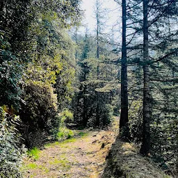 Glen Nature Trails