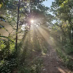 Godavari Maha Pushkara Forest