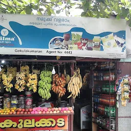 GOKULAM STORES