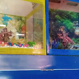Gold Fish Aquarium